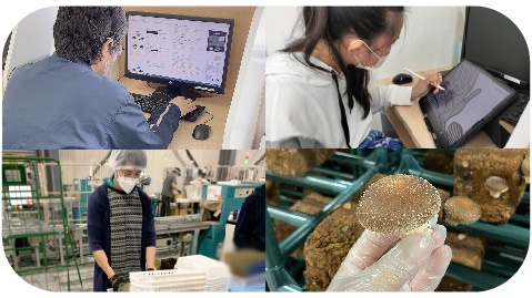 様々な業務に対応可能！